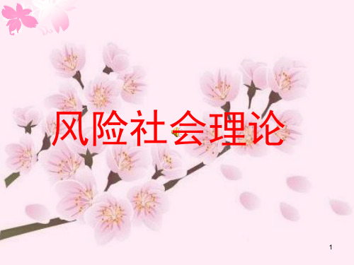 (精选)风险社会理论