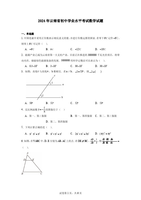 2024年云南省初中学业水平考试数学试题