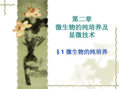 第二章微生物的纯培养和显微技术