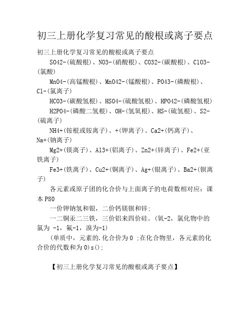 初三上册化学复习常见的酸根或离子要点