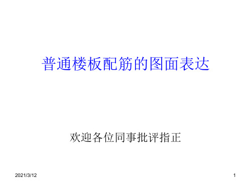 板配筋表达方法PPT课件