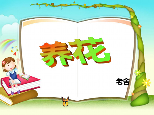 《养花》优秀教案设计语文课件PPT