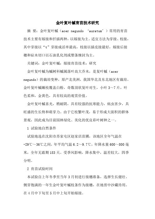 金叶复叶槭育苗技术研究