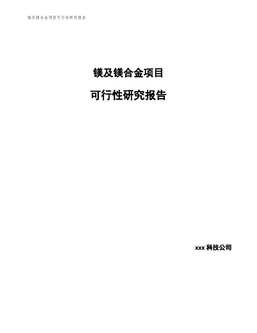 镁及镁合金项目可行性研究报告