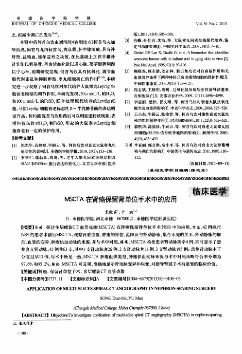 MSSCTA在肾癌保留肾单位手术中的应用