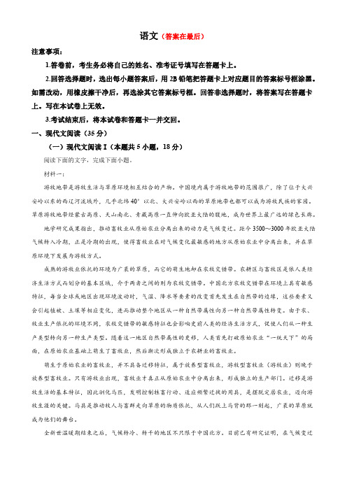 2024年1月普通高等学校招生全国统一考试适应性测试(九省联考)语文试题(解析)