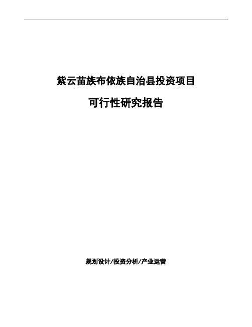 紫云苗族布依族自治县项目可行性研究报告(立项备案)