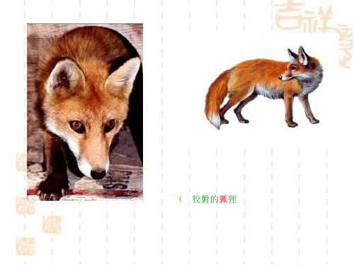 语文A版语文四下《狐假虎威》课件3