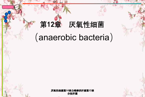 厌氧性细菌第14章白喉棒状杆菌第15章分枝杆菌