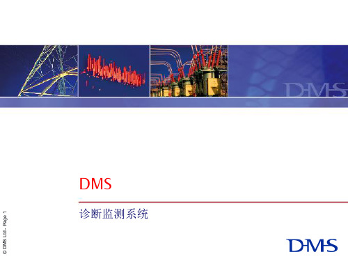 DMS 特高频局部放电仪