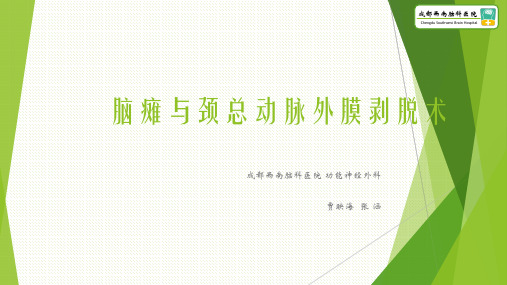 颈动脉外膜剥脱术