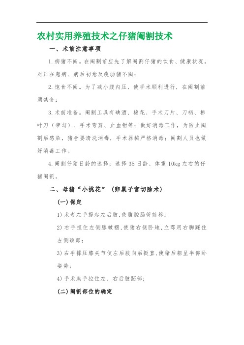 农村实用养殖技术之仔猪阉割技术