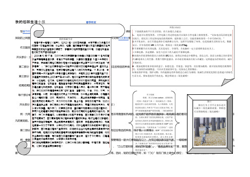 我的低碳生活小报