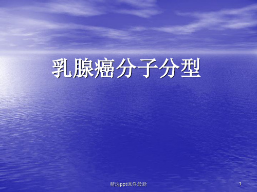 乳腺癌分子分型PPT课件