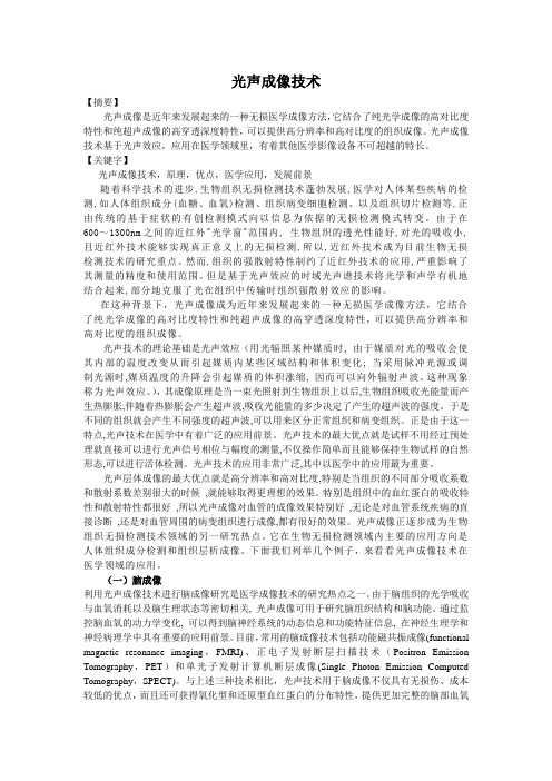 光声成像论文