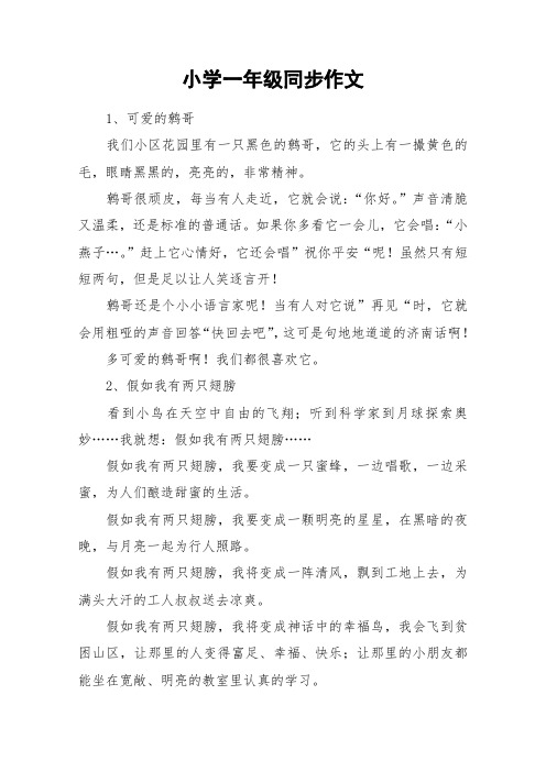 小学一年级同步作文_作文