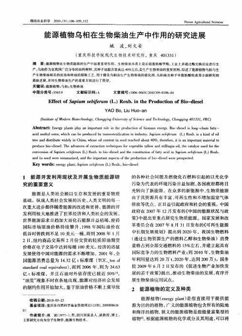 能源植物乌桕在生物柴油生产中作用的研究进展