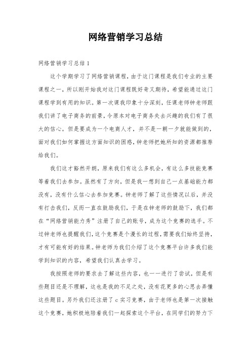 网络营销学习总结