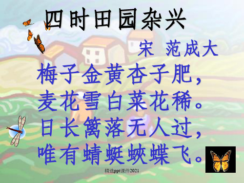 梅子金黄杏子肥ppt课件