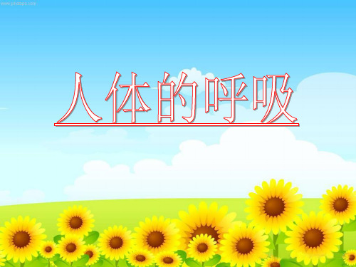 《人体的呼吸》复习用课件