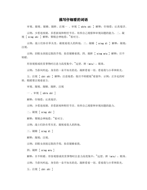 描写仔细看的词语