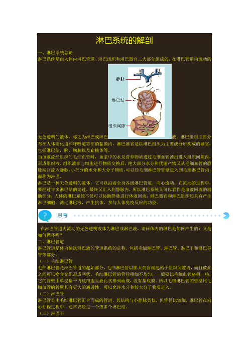 淋巴系统解剖