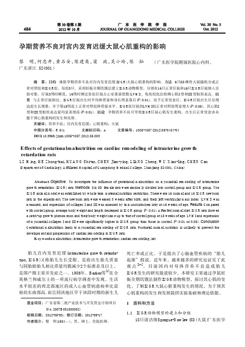 孕期营养不良对宫内发育迟缓大鼠心肌重构的影响
