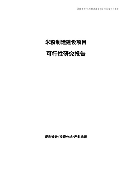 米粉制造建设项目可行性研究报告