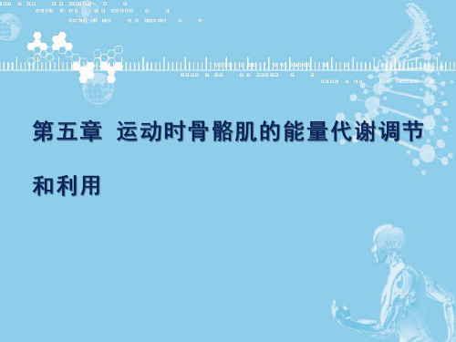 运动生物化学(第二版)课件第五六章