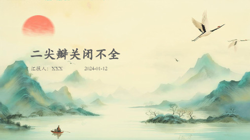 二尖瓣关闭不全病症PPT演示课件