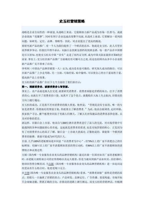 史玉柱营销策略