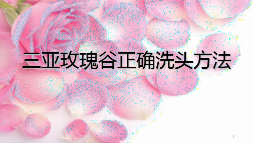 三亚玫瑰谷正确洗头方法PPT课件