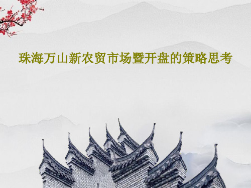 珠海万山新农贸市场暨开盘的策略思考16页PPT