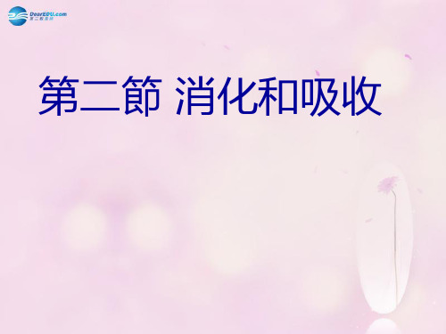 济南初中生物七下《消化和吸收》PPT课件(9)