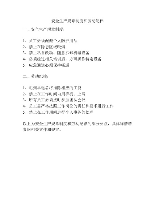 安全生产规章制度和劳动纪律