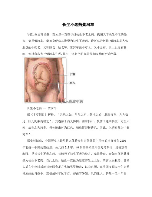 长生不老药紫河车