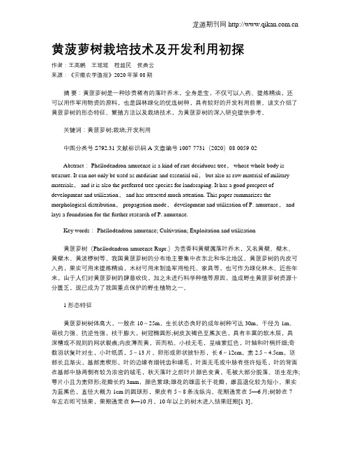 黄菠萝树栽培技术及开发利用初探