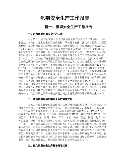 汛期安全生产工作报告