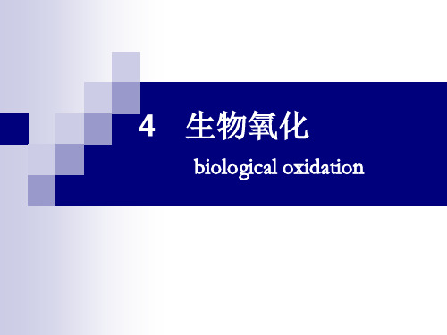 食品生物化学-4生物氧化