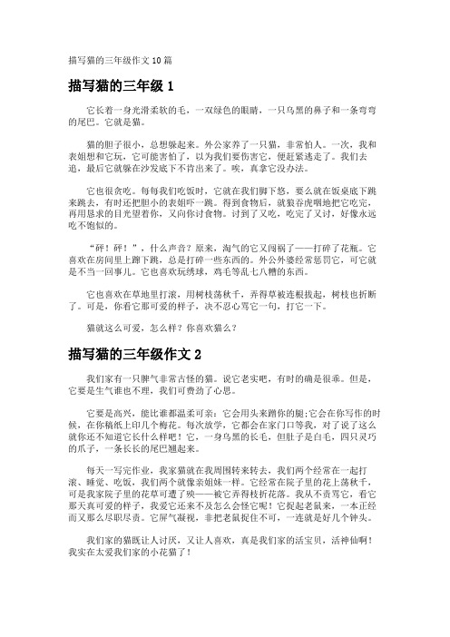 描写猫的三年级作文