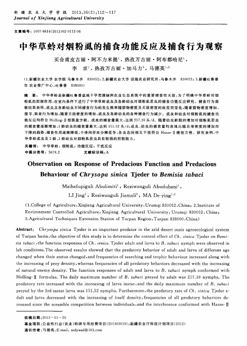 中华草蛉对烟粉虱的捕食功能反应及捕食行为观察