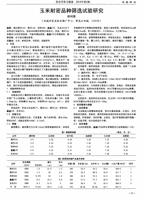 玉米耐密品种筛选试验研究