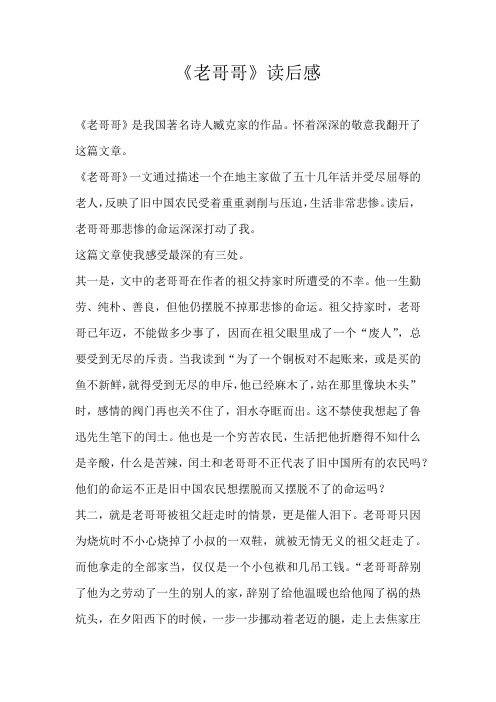 四年级读后感《老哥哥》读后感