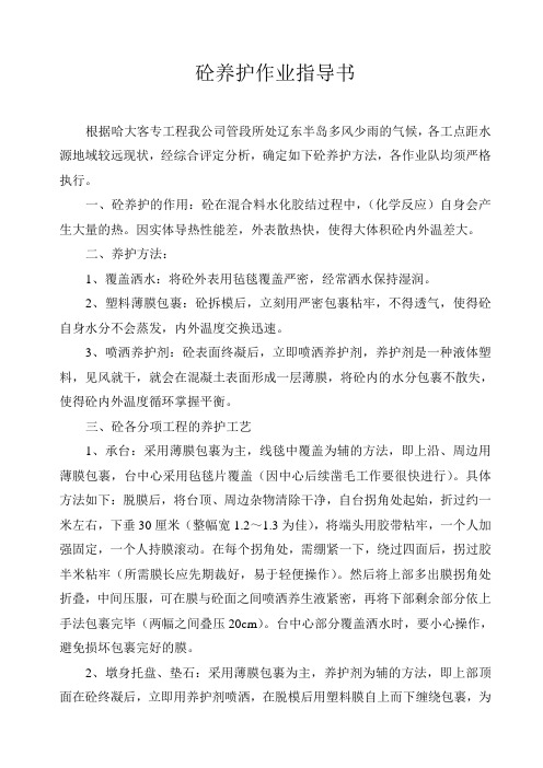 砼养护作业指导书