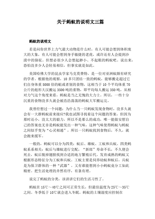 关于蚂蚁的说明文三篇