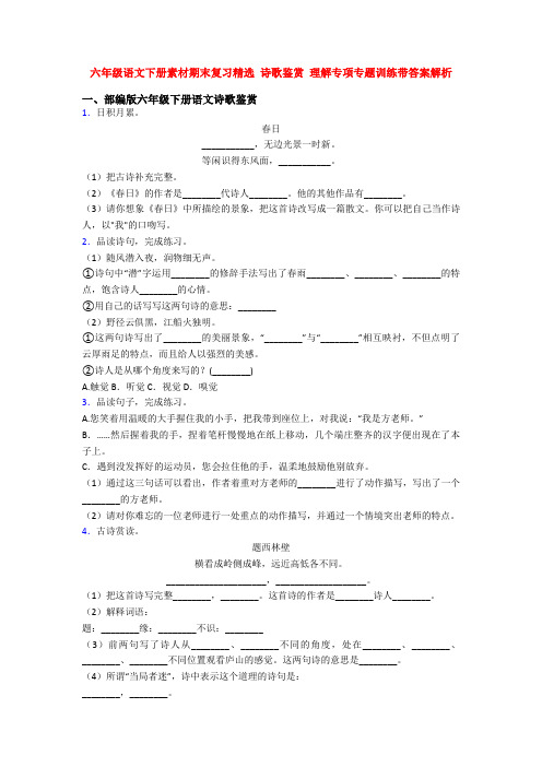 六年级语文下册素材期末复习精选 诗歌鉴赏 理解专项专题训练带答案解析