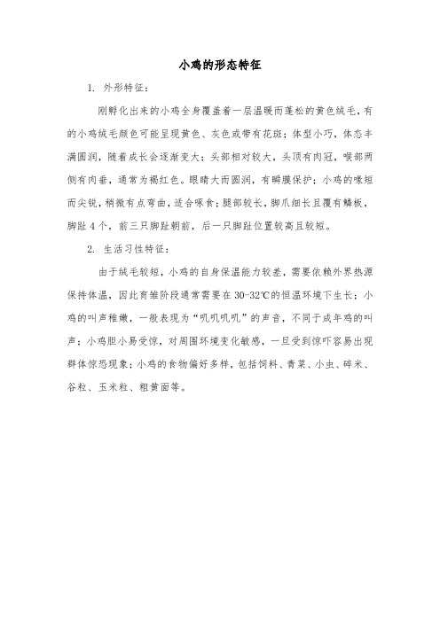 小鸡的形态特征