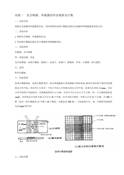 生物饵料培养实验指导教学版