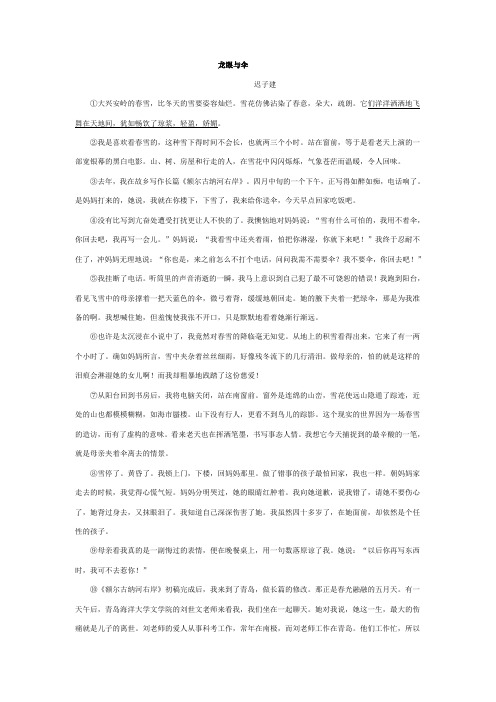 龙眼与伞