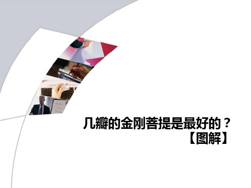 几瓣的金刚菩提是最好的？【图解】